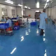 蝸蝸工廠 公司產品的強大，工廠必然是核心