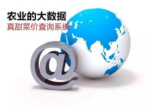 農業信息革命 告別“現代社會原始人”，擁抱“真甜菜價查詢系統”的魔力